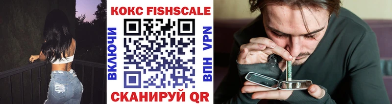 купить закладку  Кыштым  COCAIN Fish Scale 