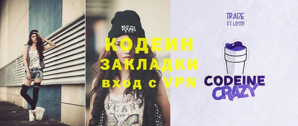 бошки Няндома