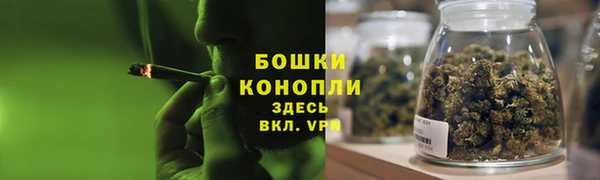 прущие грибы Щигры