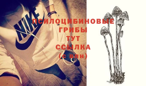 стаф Остров