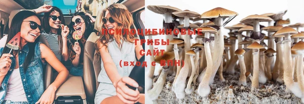 бошки Няндома
