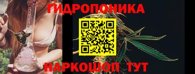 сатива Бузулук