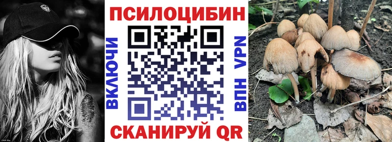 Галлюциногенные грибы GOLDEN TEACHER  Кыштым 