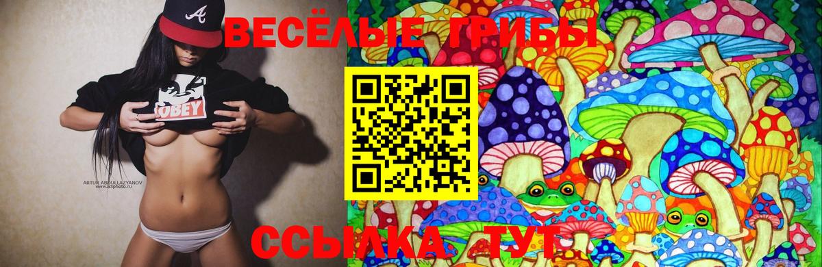 сколько стоит  Псилоцибиновые грибы прущие грибы  Кыштым  Псилоцибиновые грибы Cubensis 