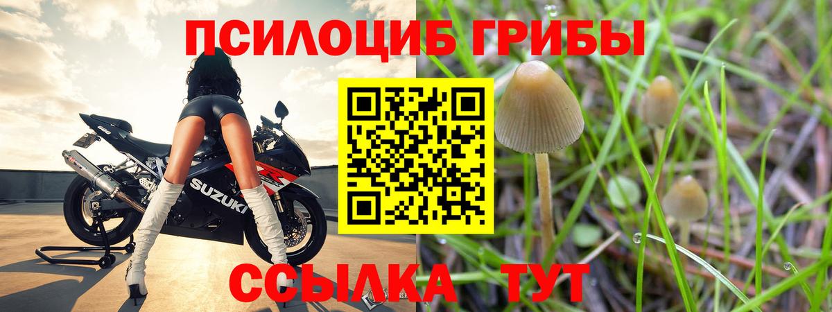 Псилоцибиновые грибы Magic Shrooms Кыштым