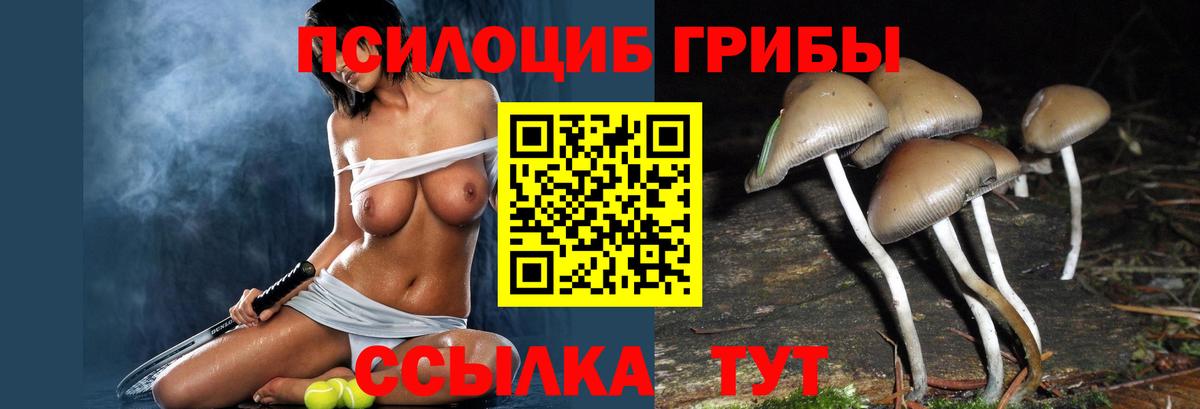 Кыштым  Галлюциногенные грибы ЛСД  Вход с VPN 